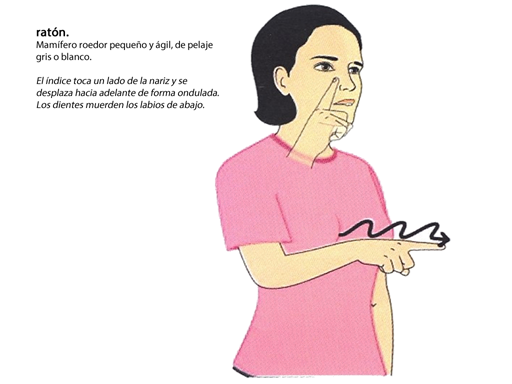  RATON