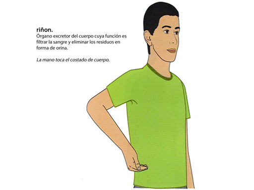 RIÑÓN
