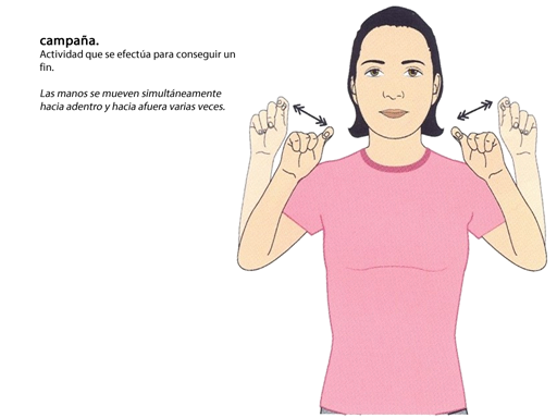  CAMPAÑA